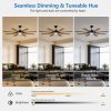 60 Inch Ceiling Fan with Lights and Remote Control, 8 Plywood Blades, 6-Speed Noiseless Reversible DC Motor, 3CCT, Windmill Ceiling fan for Kitchen Bedroom Living Room, Black