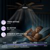 60 Inch Ceiling Fan with Lights and Remote Control, 8 Plywood Blades, 6-Speed Noiseless Reversible DC Motor, 3CCT, Windmill Ceiling fan for Kitchen Bedroom Living Room, Black