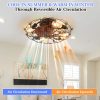 4-229.jpg Low Profile Caged Ceiling Fan with Lights Remote Control, Embedded modern industrial ceiling fan