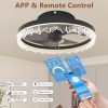 Smart Silent Elegant Black Ceiling Fan with Light C 16-inch Flush Mount LED Chandelier with 5 Invisible Blades, Remote Control & Timer, Dimmable Lighting for Bedroom, Living Room, Dining Room